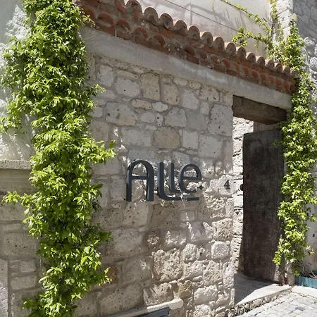 Blue Alle Hotel *